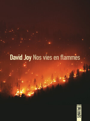 cover image of Nos vies en flammes
